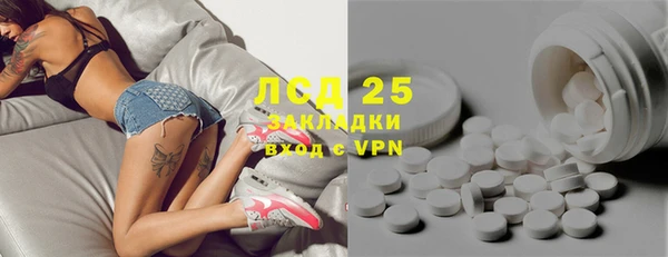 ПСИЛОЦИБИНОВЫЕ ГРИБЫ Михайловка