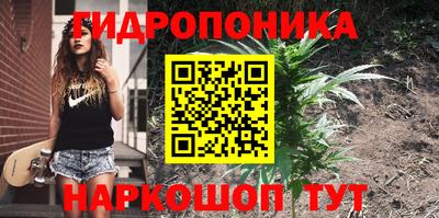 а пвп мука Аргун
