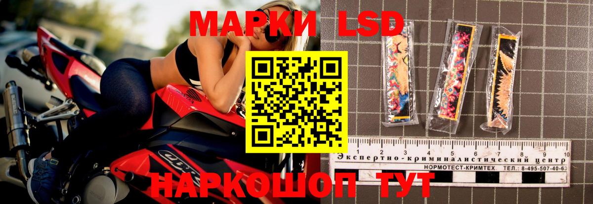 Лсд 25 экстази  LSD-25 экстази ecstasy  Вход с VPN  Новозыбков  ЛСД экстази ecstasy 