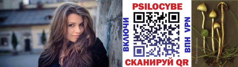 Галлюциногенные грибы мухоморы  Новозыбков 