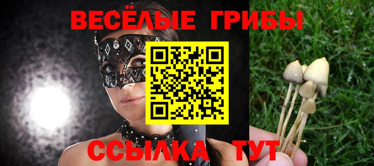 Галлюциногенные грибы Psilocybe  Вход с VPN  Новозыбков  Галлюциногенные грибы GOLDEN TEACHER 