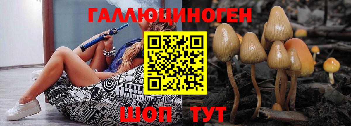 Галлюциногенные грибы Magic Shrooms Новозыбков