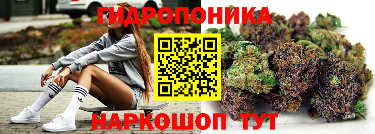 Бошки марихуана SATIVA & INDICA  Бошки Шишки ГИДРОПОН  Вход с VPN  Каннабис гибрид  Шишки марихуана ГИДРОПОН  Новозыбков 