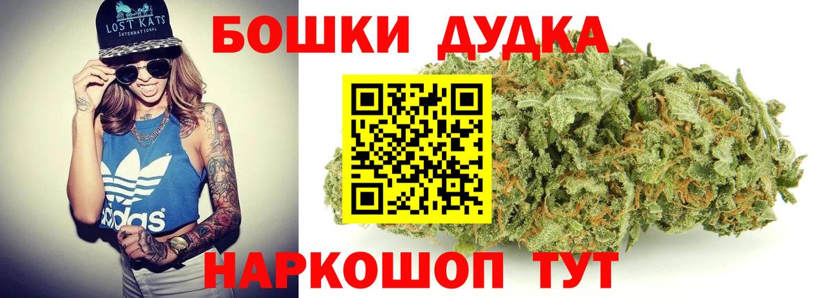 A-PVP Новозыбков